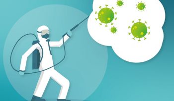 https://plagastur.com/ Control de plagas Asturias
