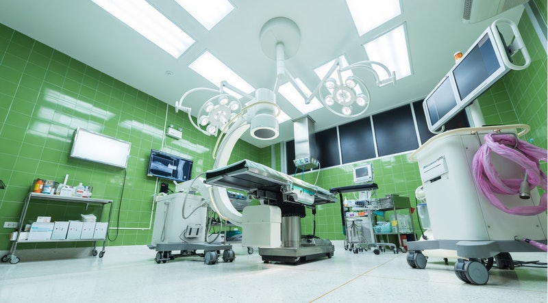 Identificación y control de plagas comunes en hospitales