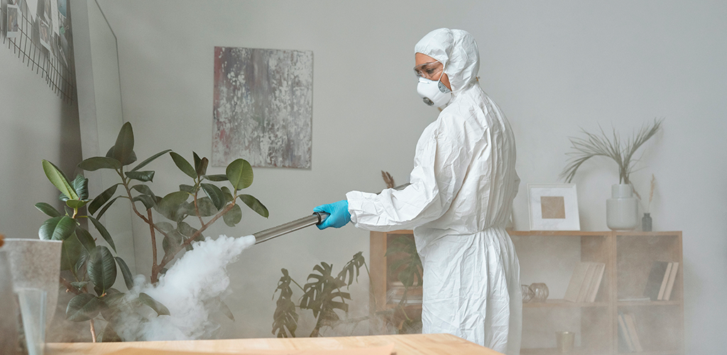 Técnicas de fumigación: ¿Cuándo y cómo?