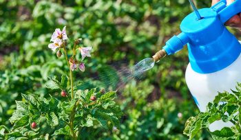 https://plagastur.com/ Uso de barreras físicas para prevenir infestaciones en jardines