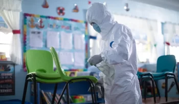 https://plagastur.com/ control de plagas en los colegios