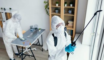 Prevenir Plagas Comunes en Viviendas Durante el Invierno