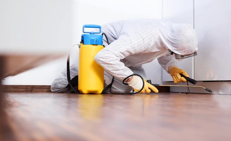 Cómo preparar tu hogar para un tratamiento de plagas