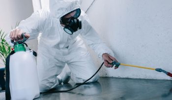 Cómo proteger las casas rurales de infestaciones