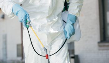 https://plagastur.com/ Cómo elegir un servicio profesional de control de plagas